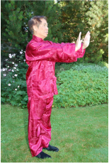 Grandmaster Wong performing the Chi Kung exercise 'Pushing Mountains'