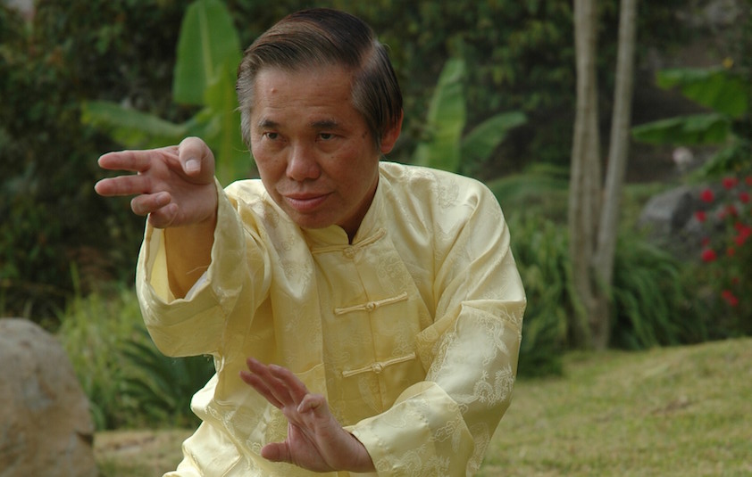 Grandmaster Wong Kiew Kit performing the kung fu pattern 'Swimming Dragon Plays With Water'
